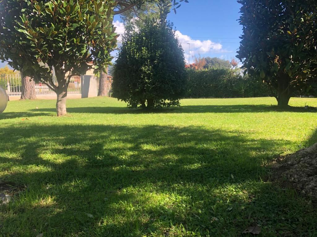 Villa Orsini - A Retreat In Pisa - Food And Relax Exterior photo